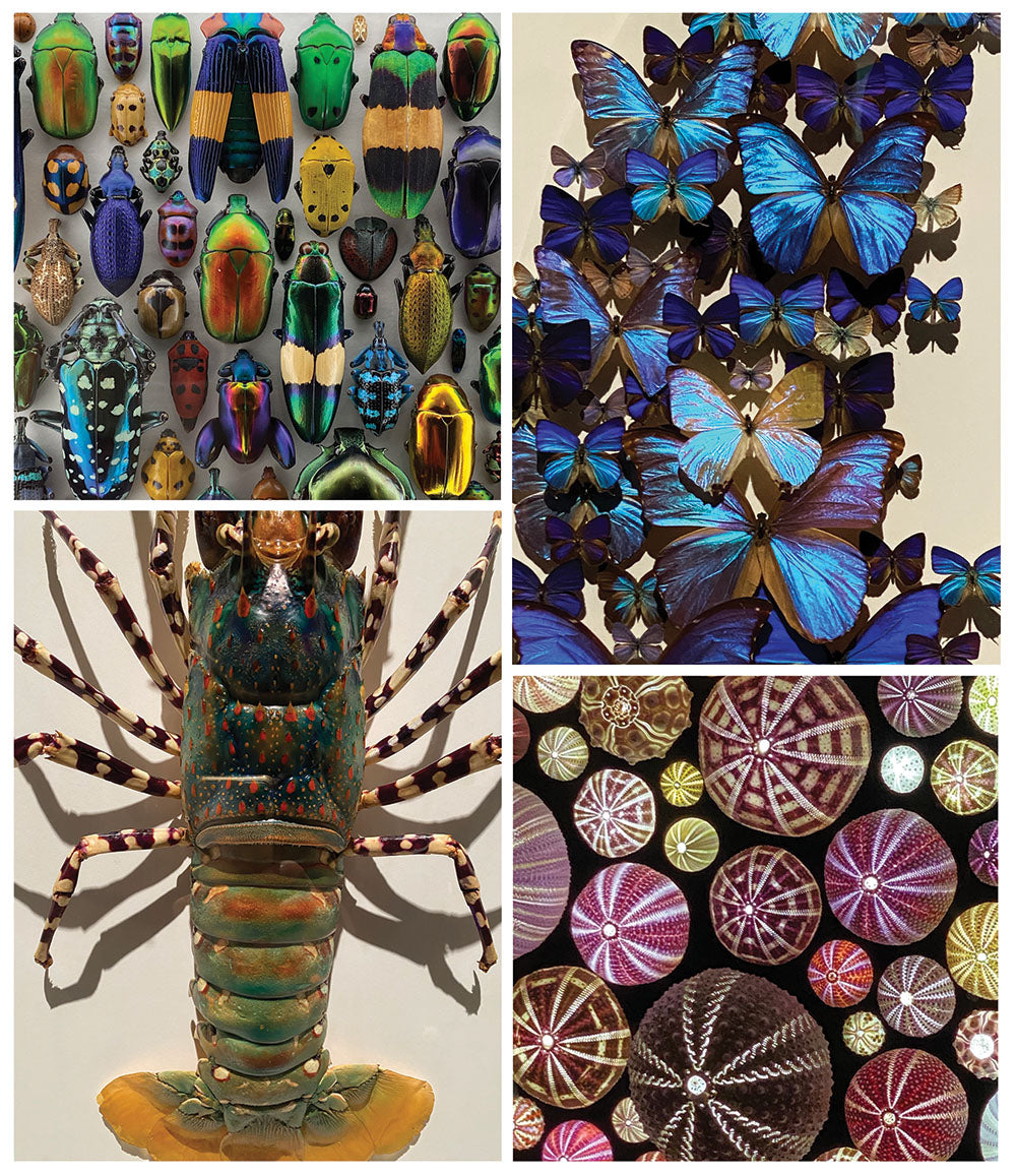 Discovering Inspiration: 10 Ways to Find Inspiration for Creating Art and Living an Artful Life