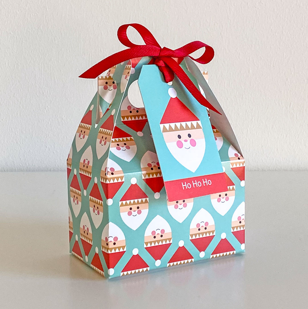Santa Party Favor Boxes - Set of 2