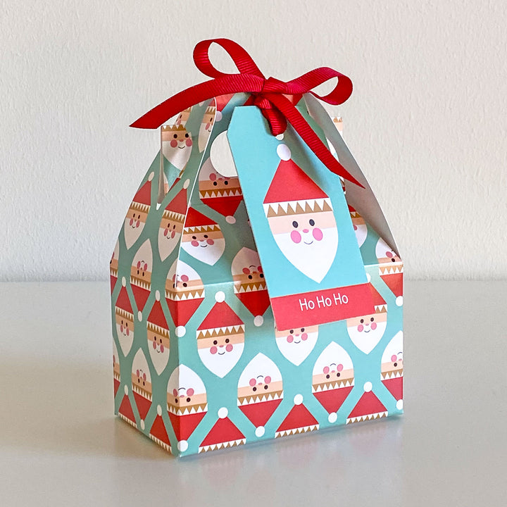 Santa Party Favor Boxes - Set of 2