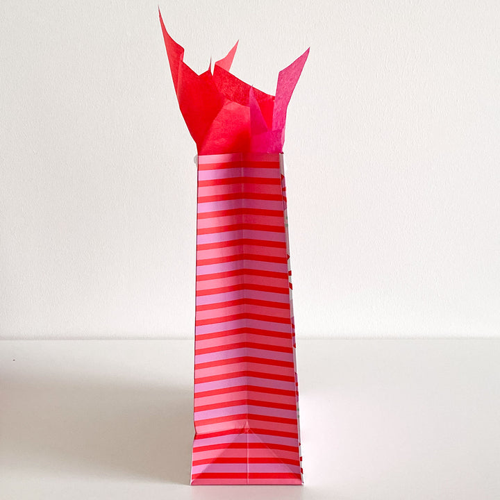Side view of a red and pink striped gift bag on a white background